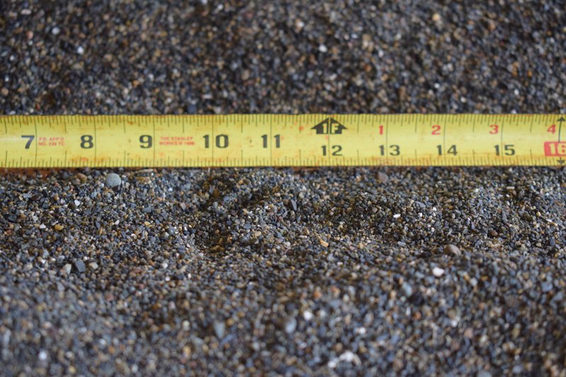 Mexican pebble rock